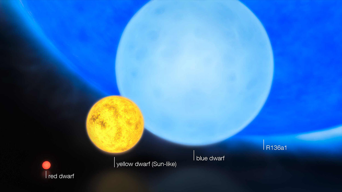 R136a1 size comparison