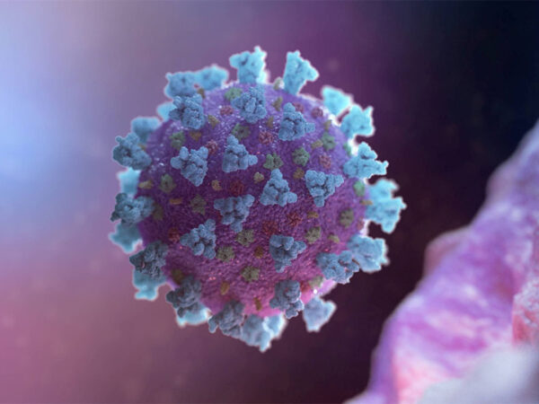 why politicizing coronavirus will only make you sick or kill you