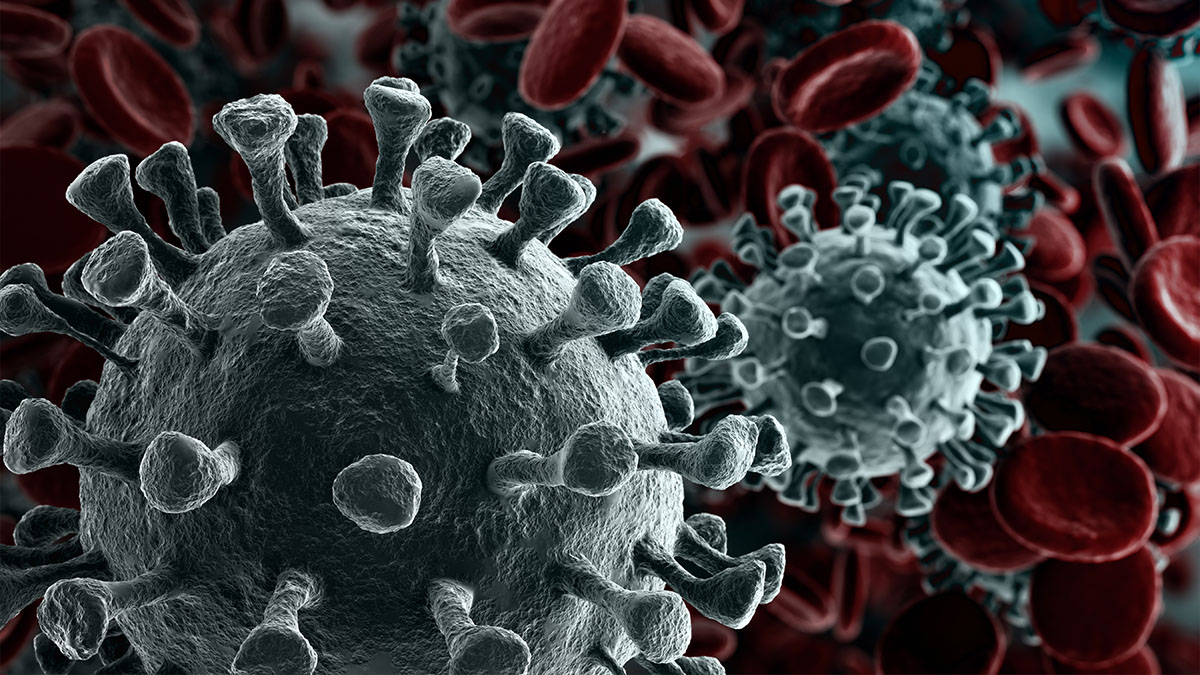 coronavirus render