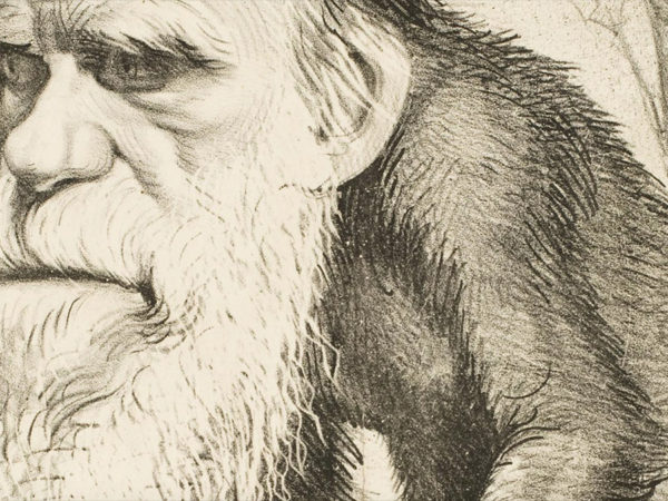 the creationist quest to slime darwin