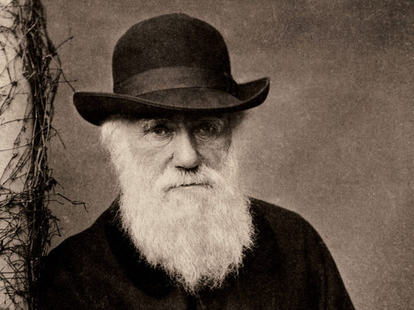 why evolution didn’t really need darwin