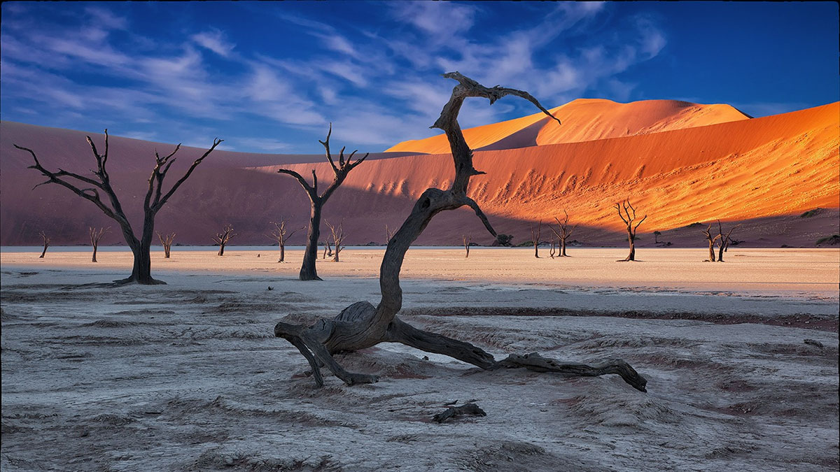 desert landscape in shade