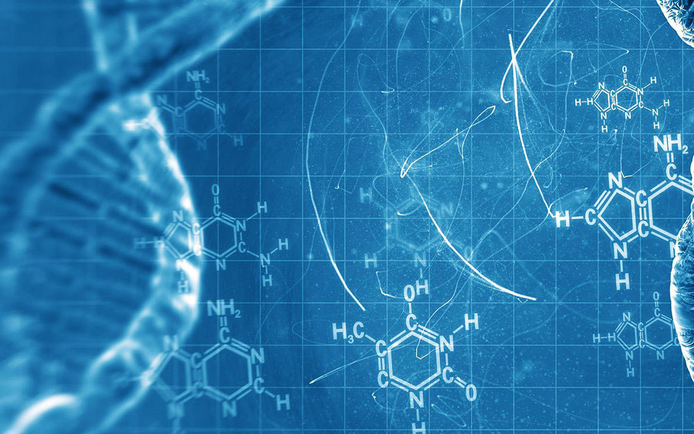 dna blueprint