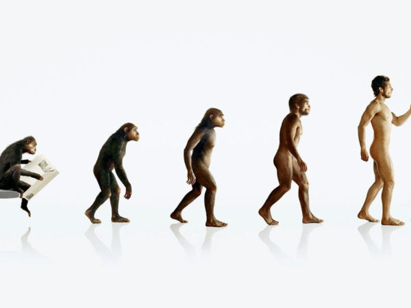 is evolution a repeatable science?