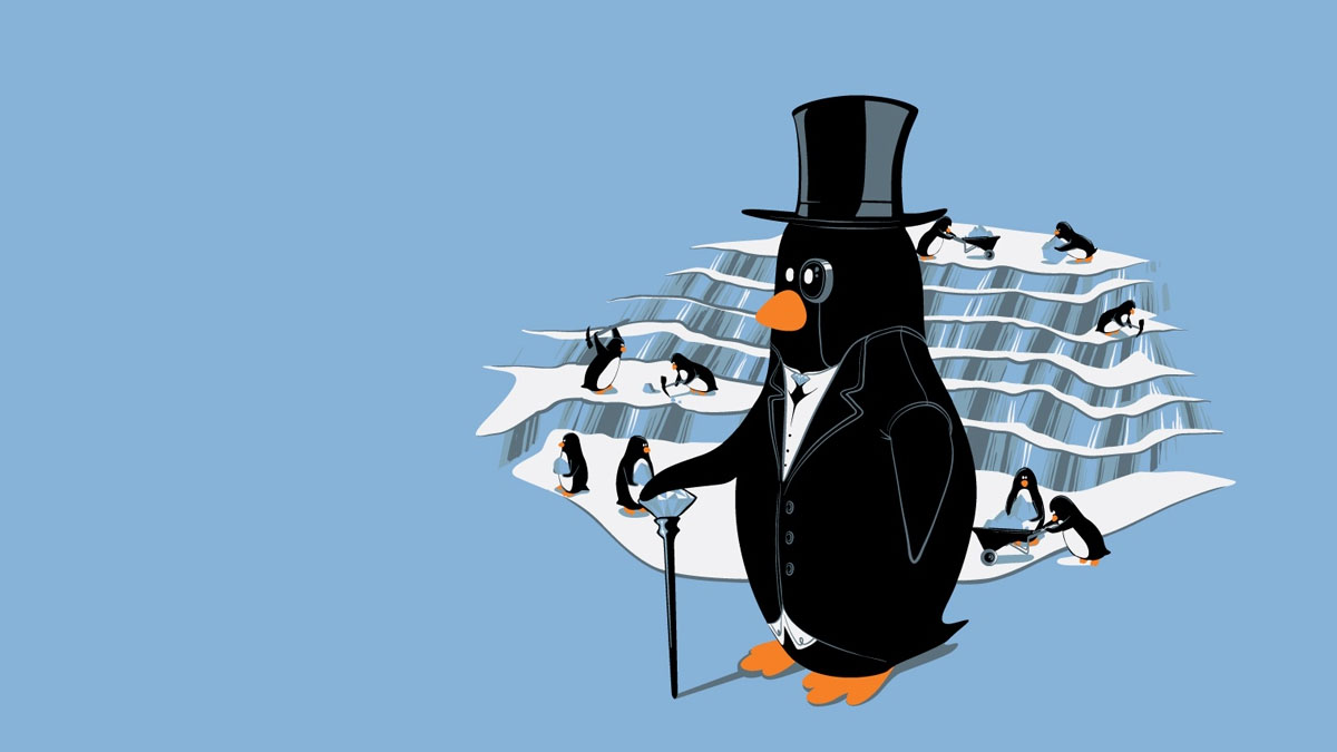 fancy penguin