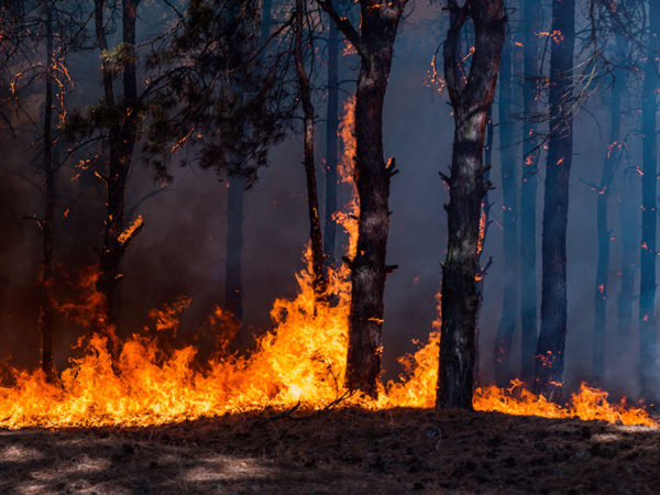 and now a few (uncensored) words about climate change