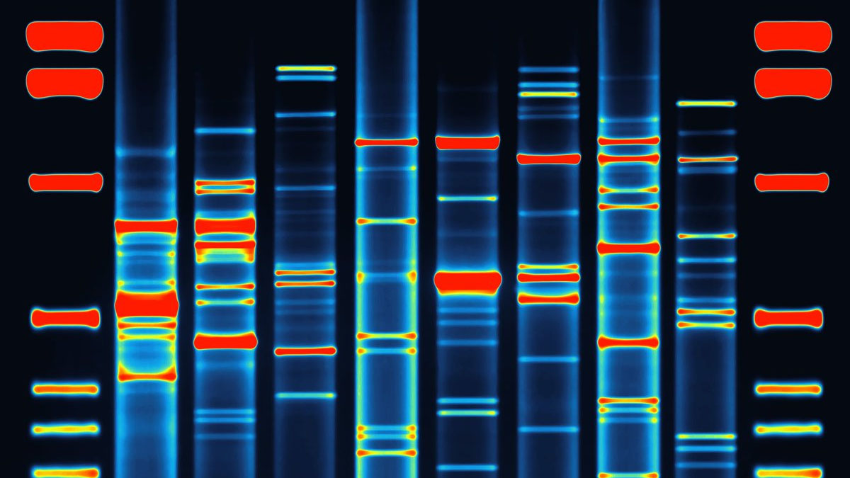 dna art