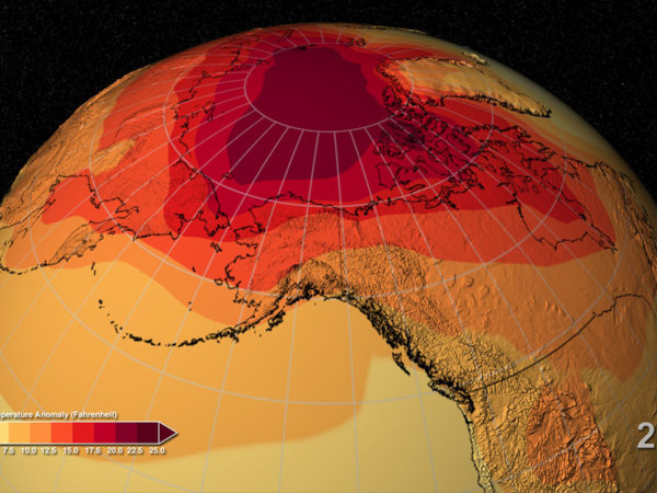 when everybody is a climate scientist…