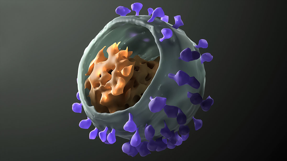 hiv virus 3d model