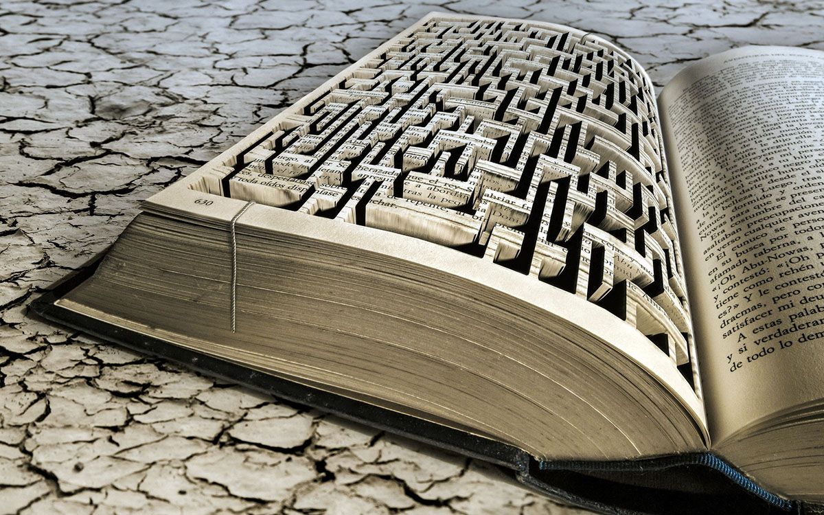 maze book