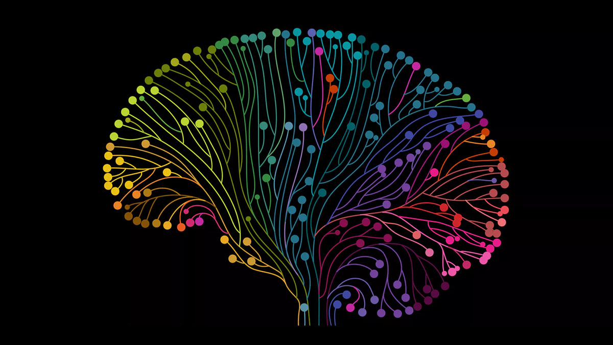 neuron networks