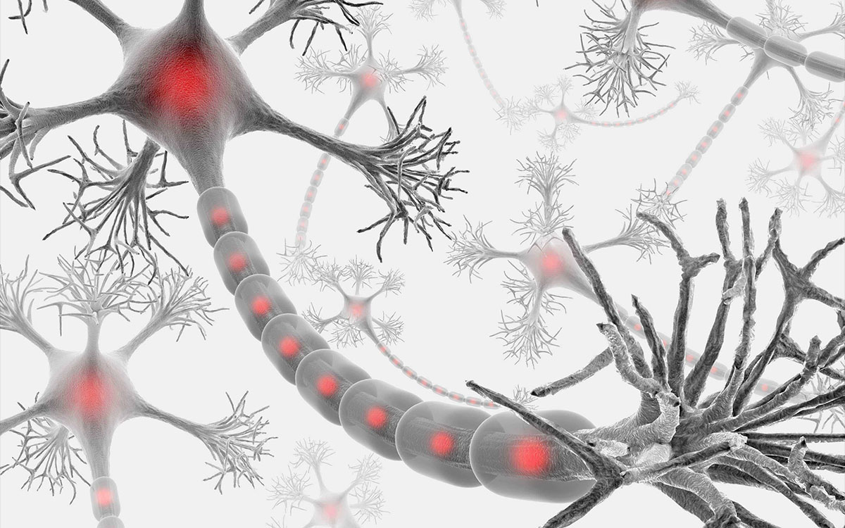 neuron render