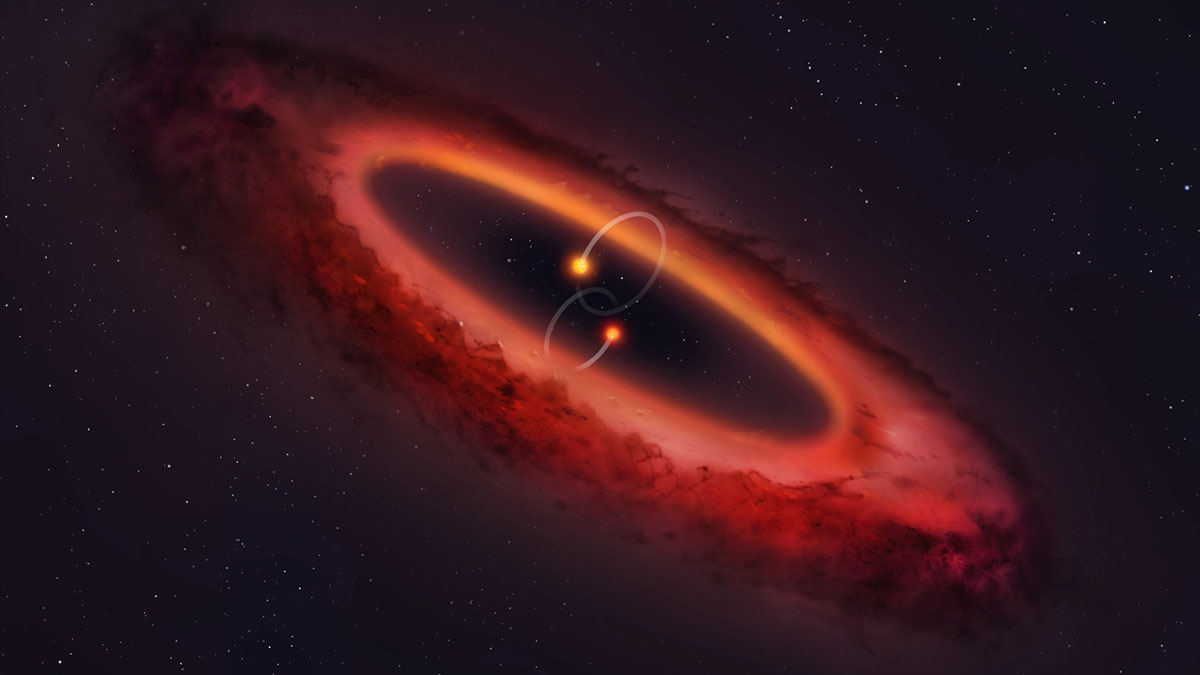 polar protoplanetary disk diagram